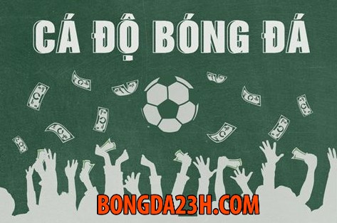 w88, ư88, w888, nhà cái, nhà cái w88, nhà cái cá độ bóng đá, nhà cái cá cược bóng đá, cá độ bóng đá, cá cược bóng đá, cá độ bóng đá trên mạng, cá cược bóng đá trên mạng, cá độ bóng đá online, cá cược bóng đá online, cược bóng, cá độ, bóng đá trực tuyến, cá cược bóng đá trực tuyến